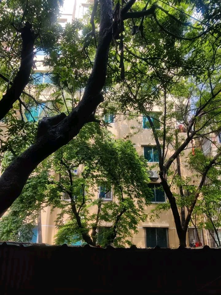 ফিমেল সাবলেট ভাড়া দেওয়া হবে
